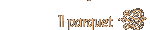 Il parquet